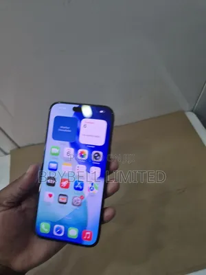 Apple iPhone 15 Pro Max 1 TB Gray