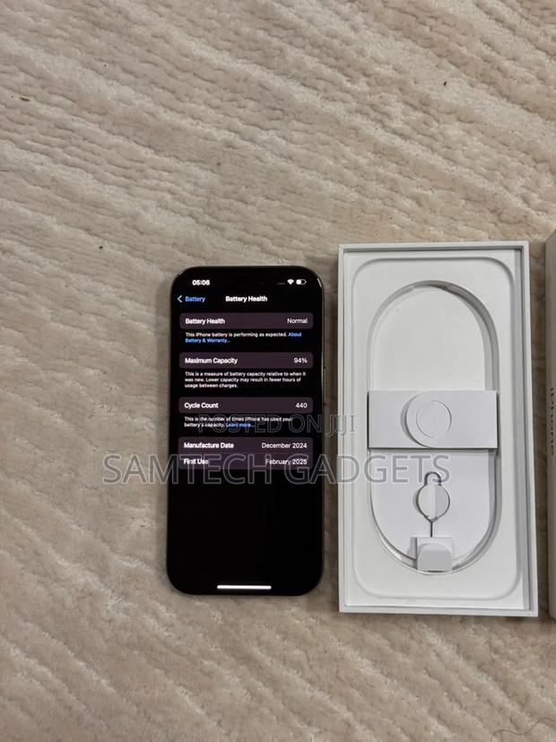 Apple iPhone 16 Pro Max 256 GB Gray - thumbnail 3