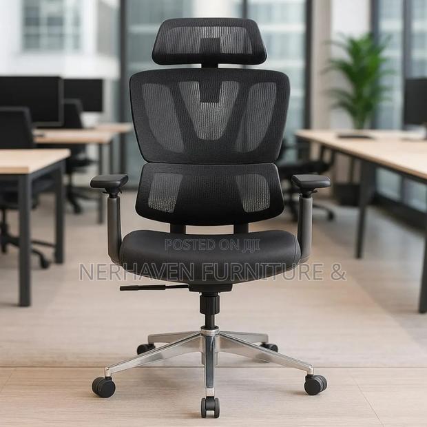 Professional Ergonomic Chair for Home Office