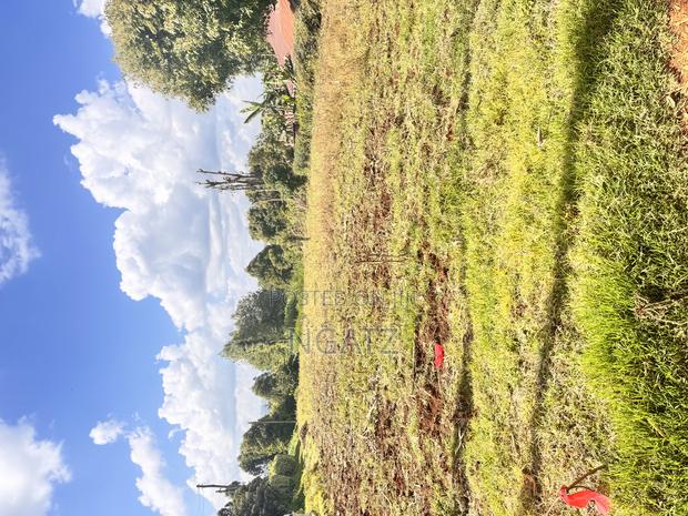 Land in Kasphat - thumbnail 5