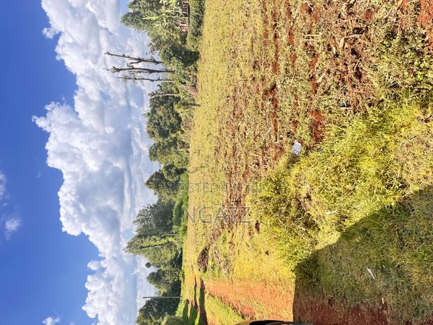 Land in Kasphat - main view