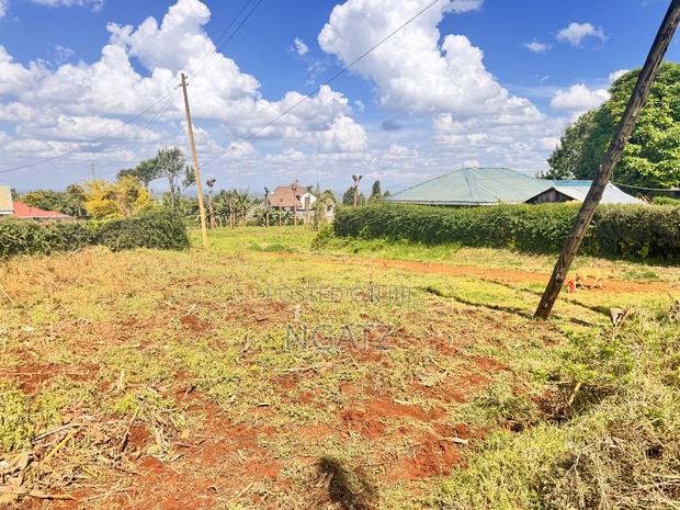 Land in Kasphat - thumbnail 4