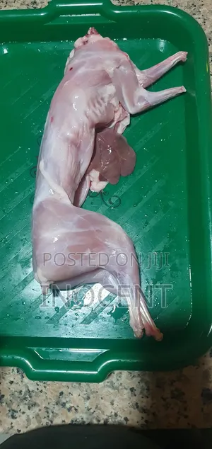 Rabbit Meat
