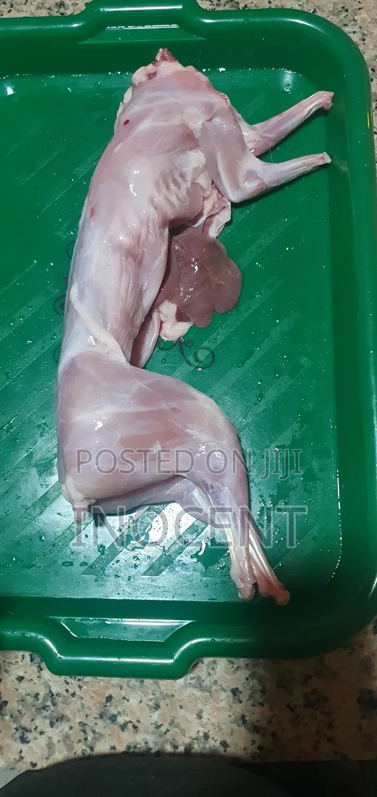 Rabbit Meat