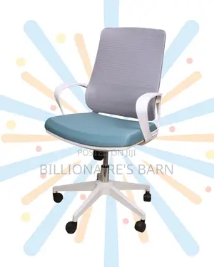 Executive | Office Ergonomic New Chair | Top Seller in Kenya