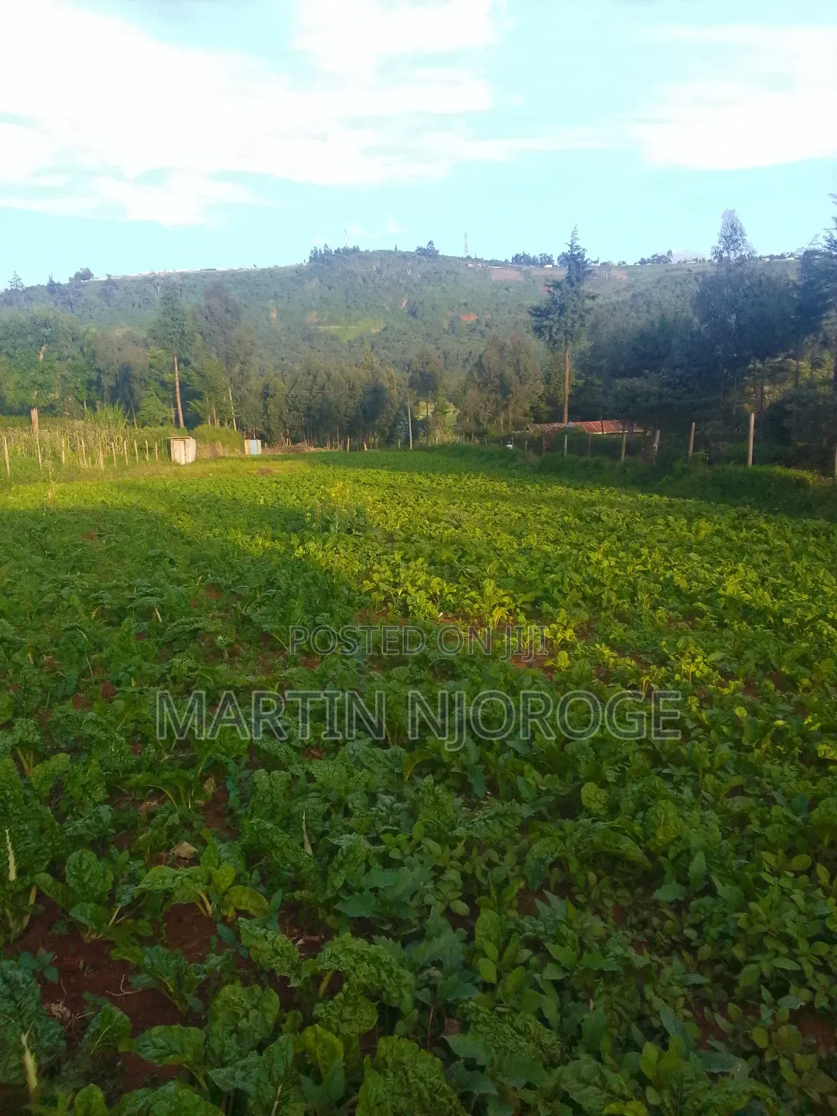 1.25 Acres Escarpment