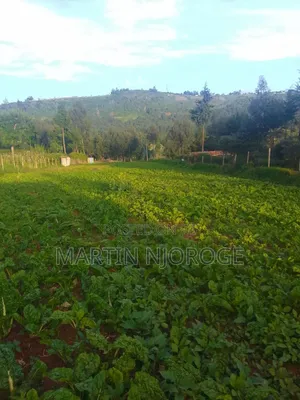 1.25 Acres Escarpment