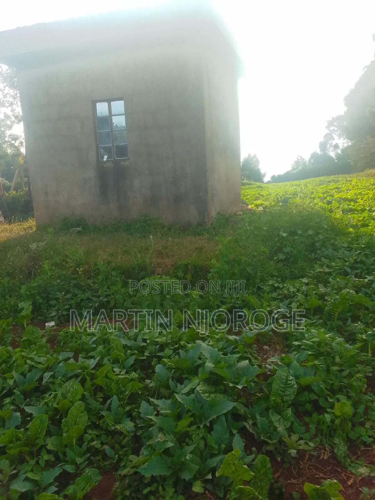 1.25 Acres Escarpment