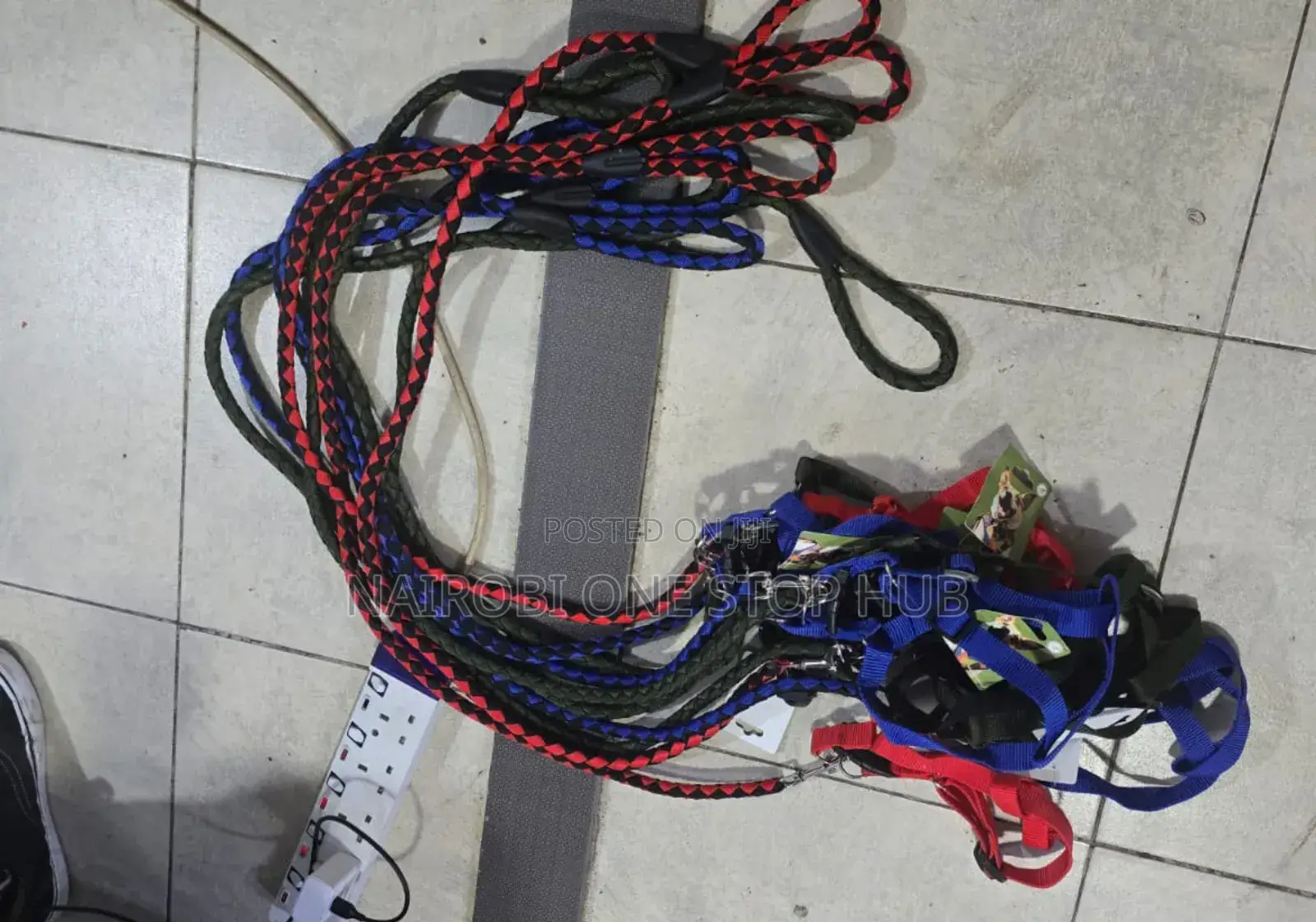 Dog Leash All Sizes