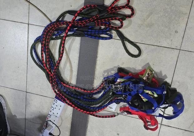 Dog Leash All Sizes - main view