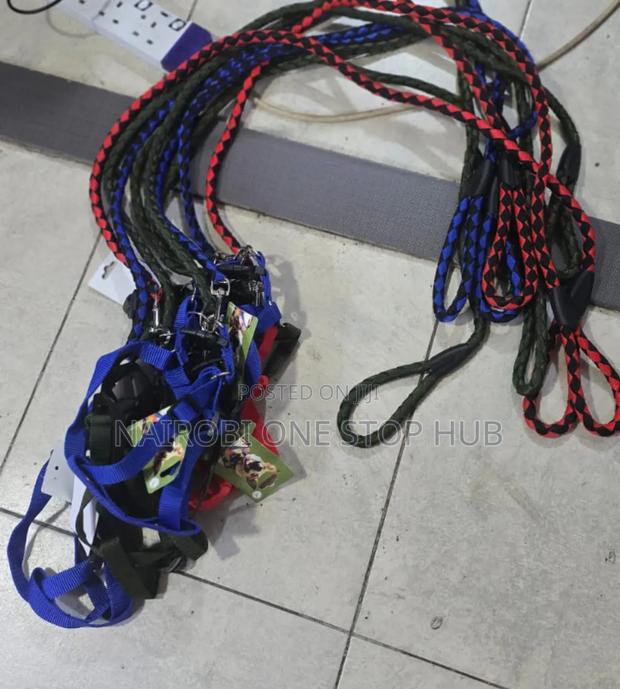 Dog Leashes - main view