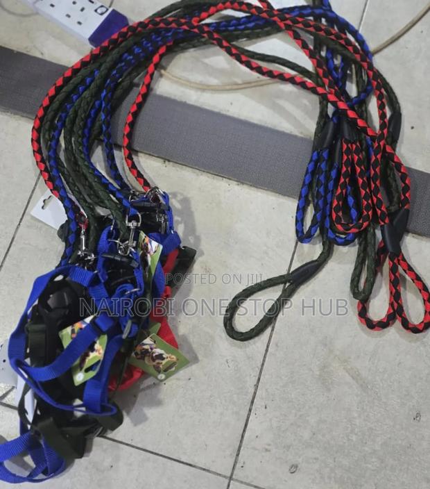 Dog Leash All Sizes - main view