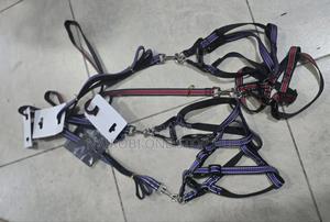 Chiwawa Dog Leash - thumbnail 3