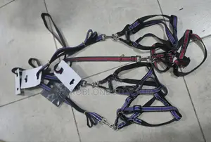 Chiwawa Dog Leash