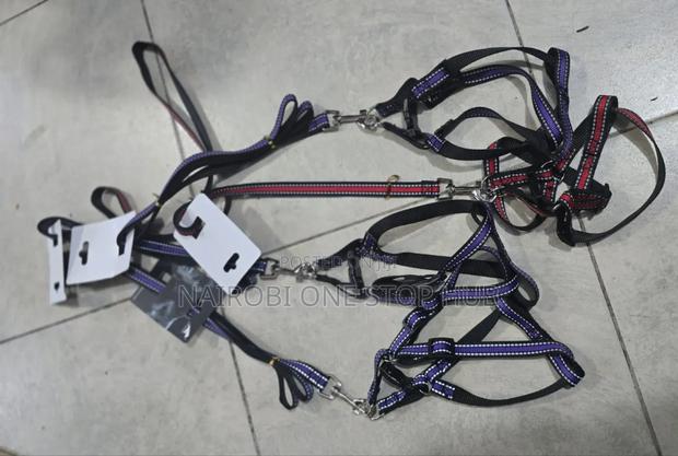 Chiwawa Dog Leash - main view
