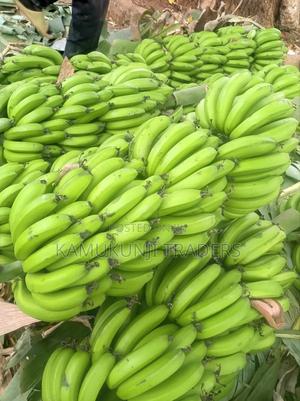 Ripening Bananas From Meru|Kampala|Sweet Bananas|Plantain