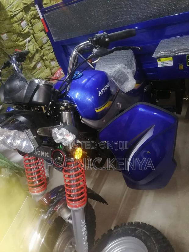 New Apsonic AP200ZH-VIP 2024 Blue