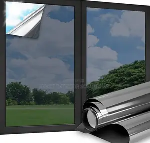 One-Way Mirror Tint