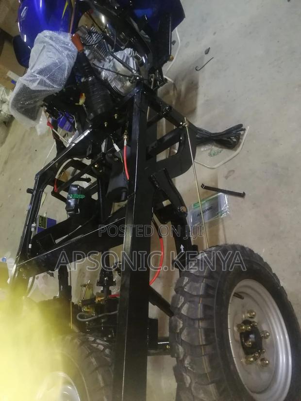 New Apsonic AP250 PRO 2024 Blue - thumbnail 3