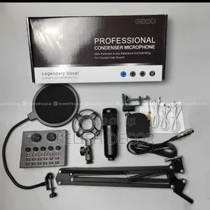 V8 Condenser Microphone