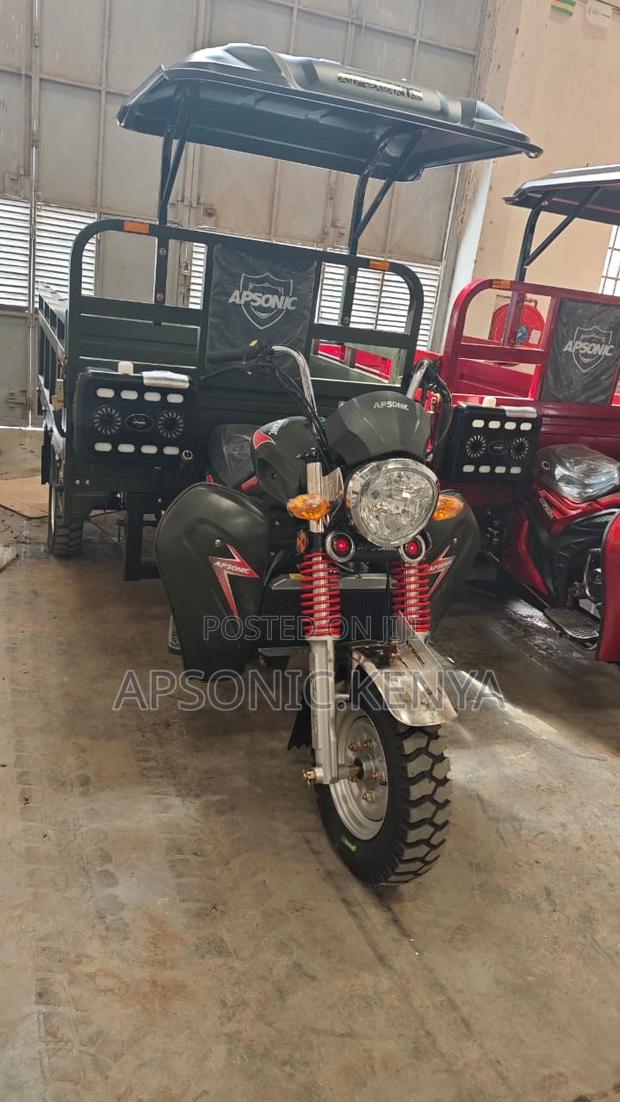 New Apsonic AP250 PRO 2024 Green - main view