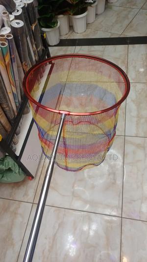 Butterfly Scooping Nets - thumbnail 2