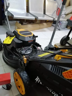 Lawn Mower (Windsor Lawn Mower)
