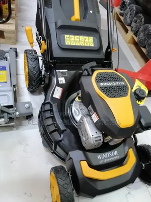 Lawn Mower (Grass Cutting)