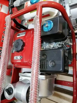 Windsor Water Pump