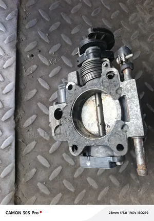 Isuzu Trooper Throttle Body