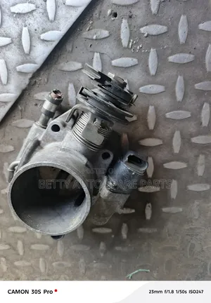 Isuzu Trooper Throttle Body