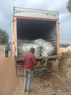 Nairobi to Malindi Transportation Available