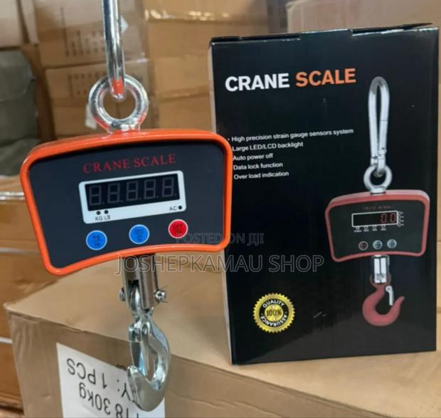 500kgs- Mini Industrial Crane Scale For Warehouse- 500 Kilograms @