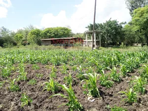 Zambia Eighth of an Acre 9plots