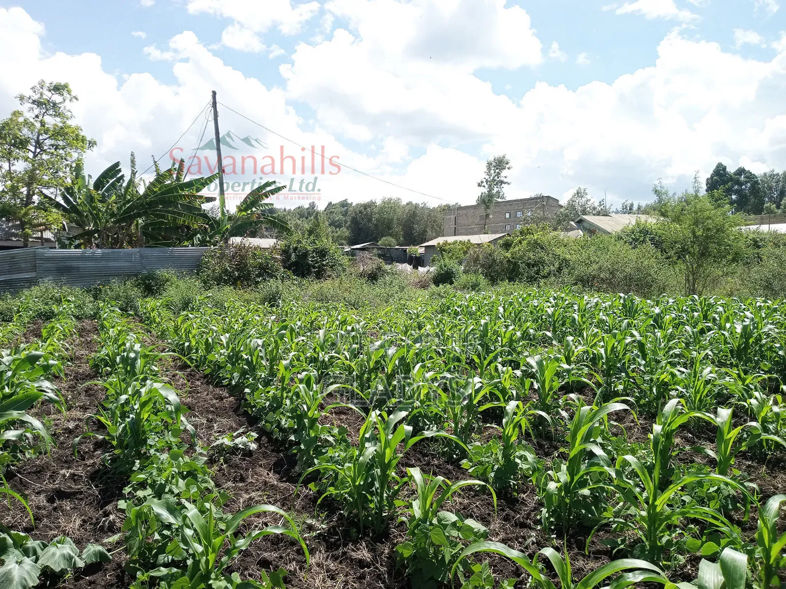 Zambia Eighth of an Acre 9plots