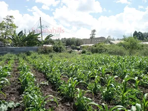 Zambia Eighth of an Acre 9plots