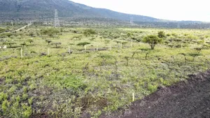 7acres of Land at Kisamis Each 2.9m
