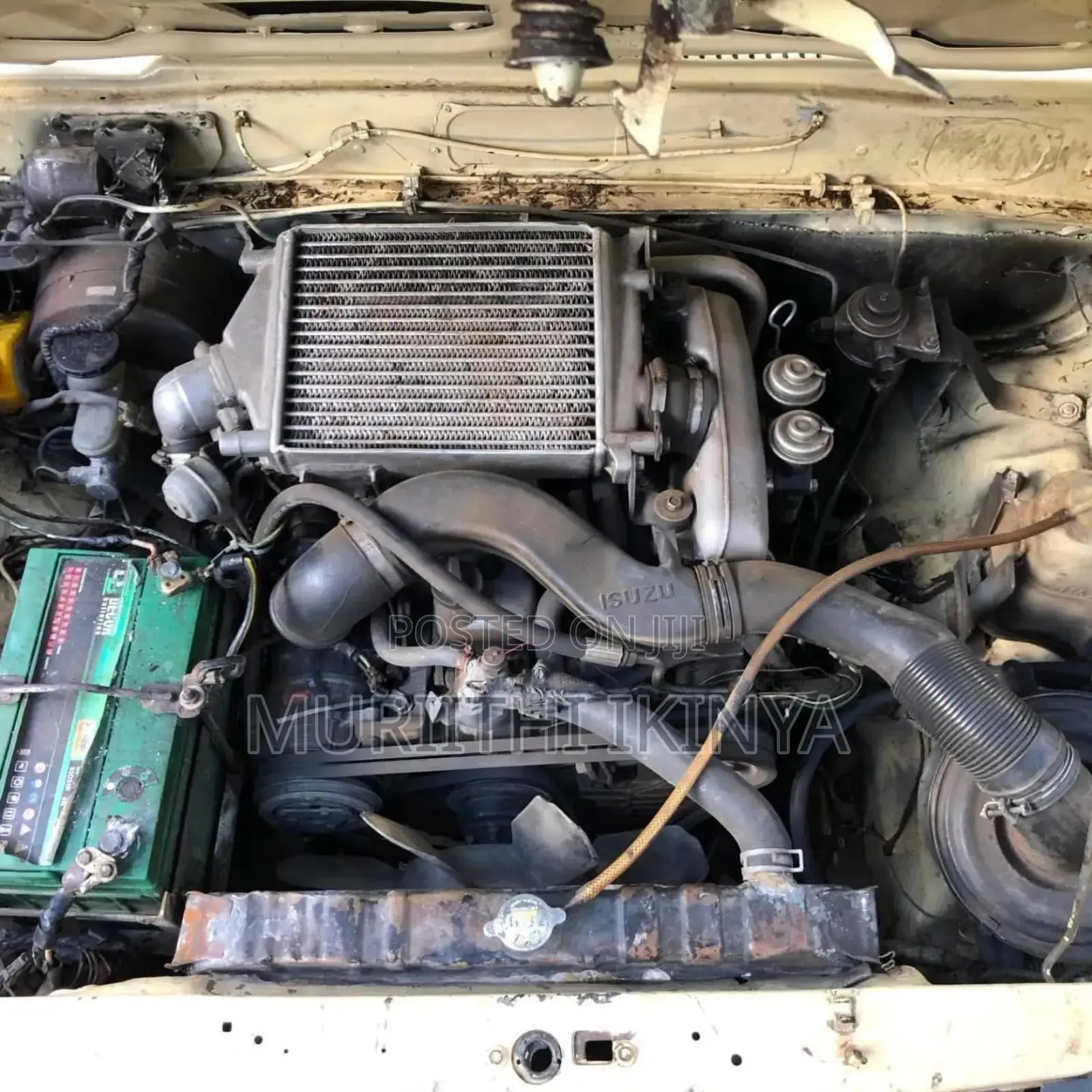 Isuzu Trooper 1994 Beige