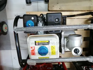 Farasi Uk Wp20 Water Pump