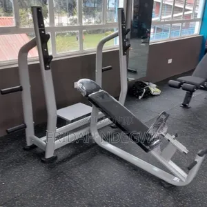Incline Commercial Bench