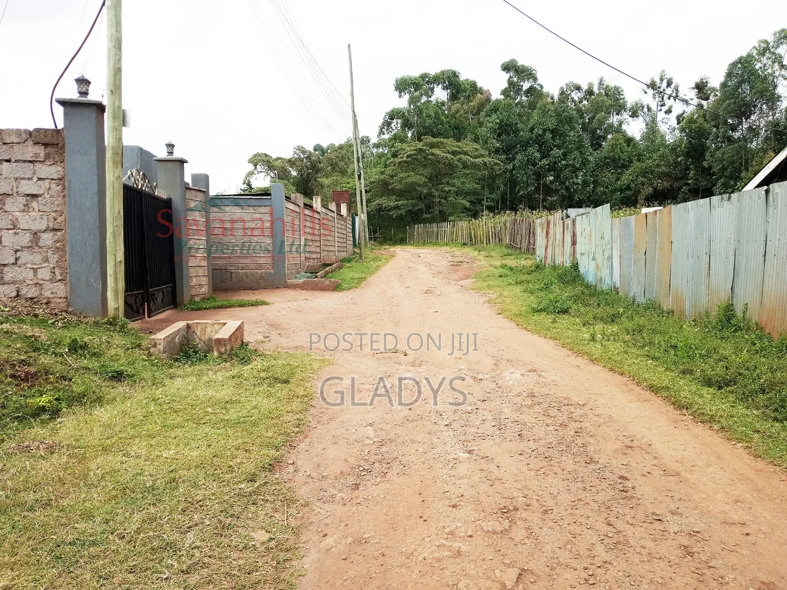 Kibiko 1.5acres for Sale Along Ole Montet Road