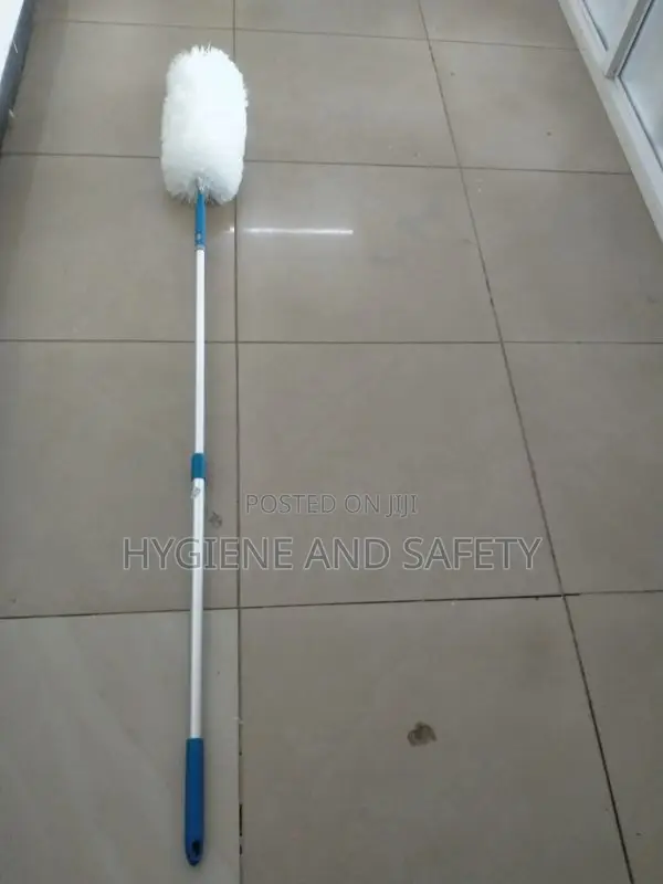 Feather Duster (2m)