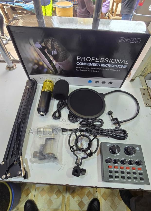 V8 Condenser Microphone With Live Recording - main view