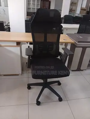 Posture Support Ergonomic Chair