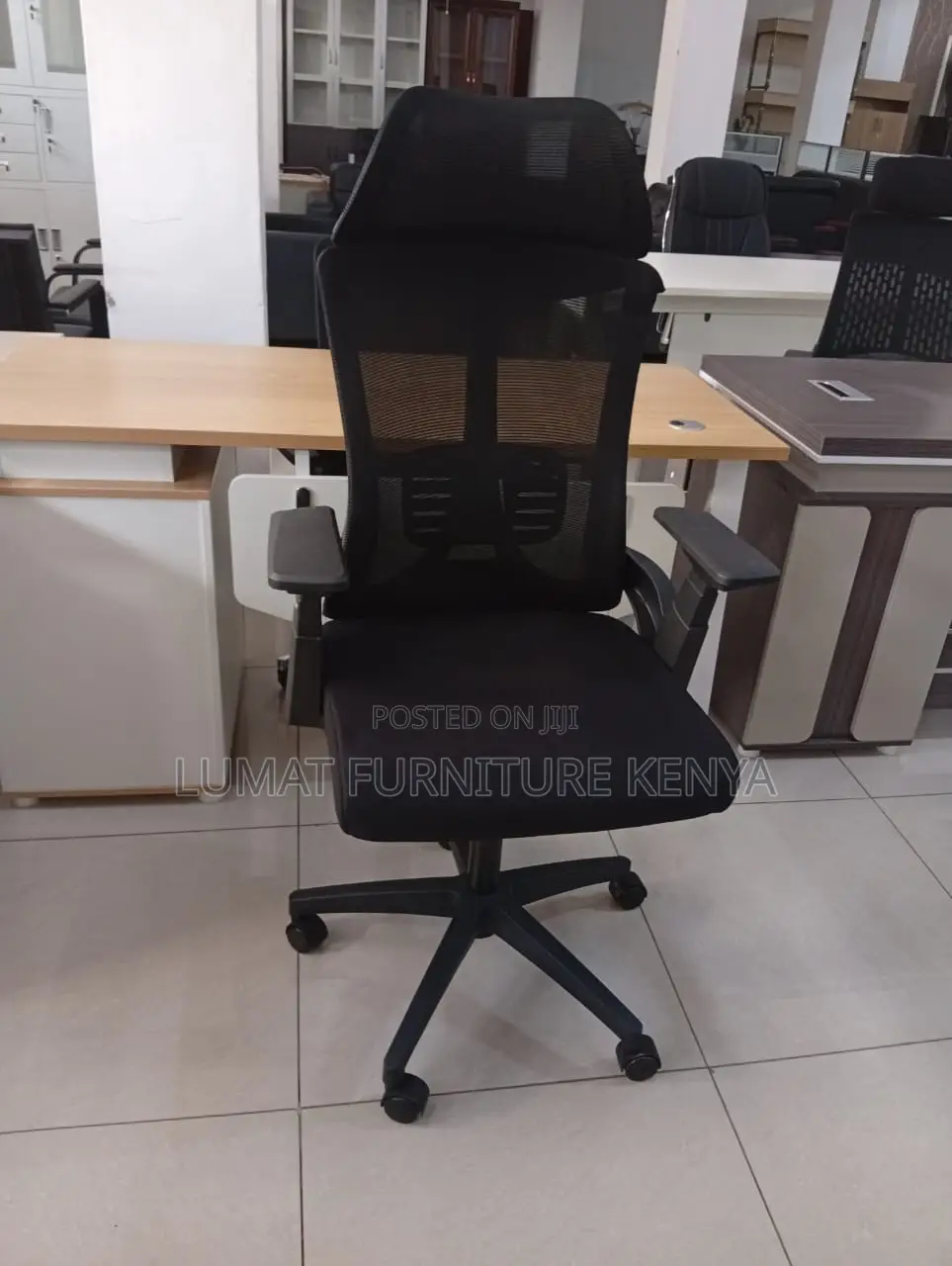 Posture Support Ergonomic Chair