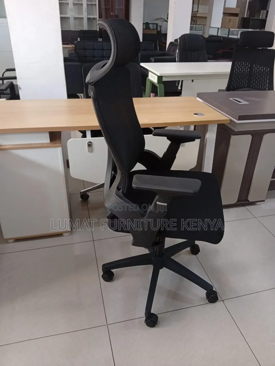 Posture Support Ergonomic Chair