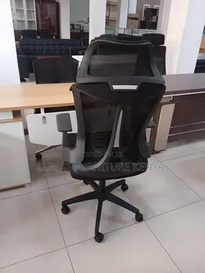 Posture Support Ergonomic Chair