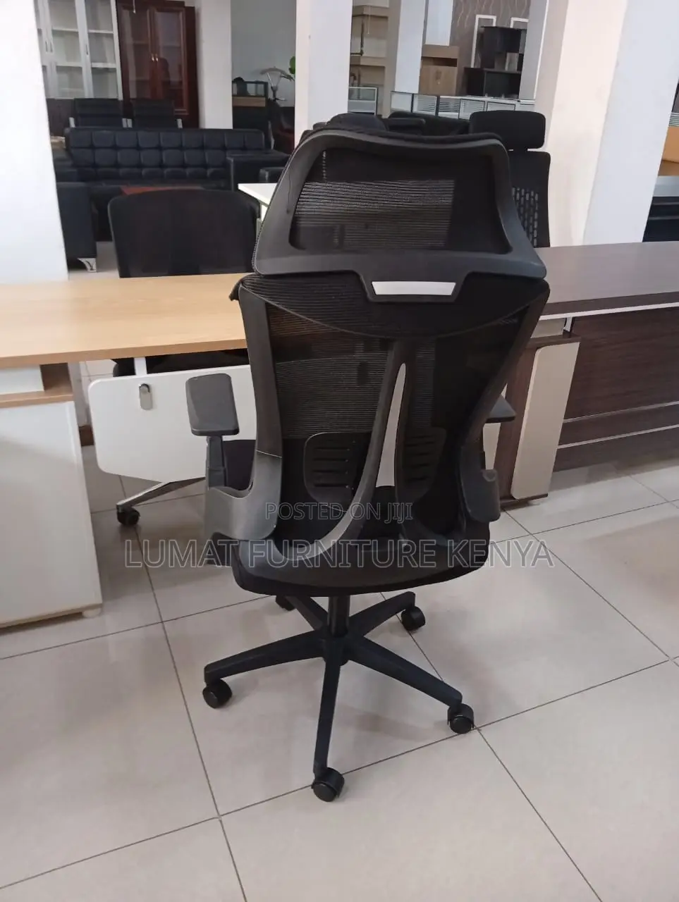 Posture Support Ergonomic Chair