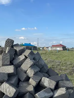 50×100 Plots