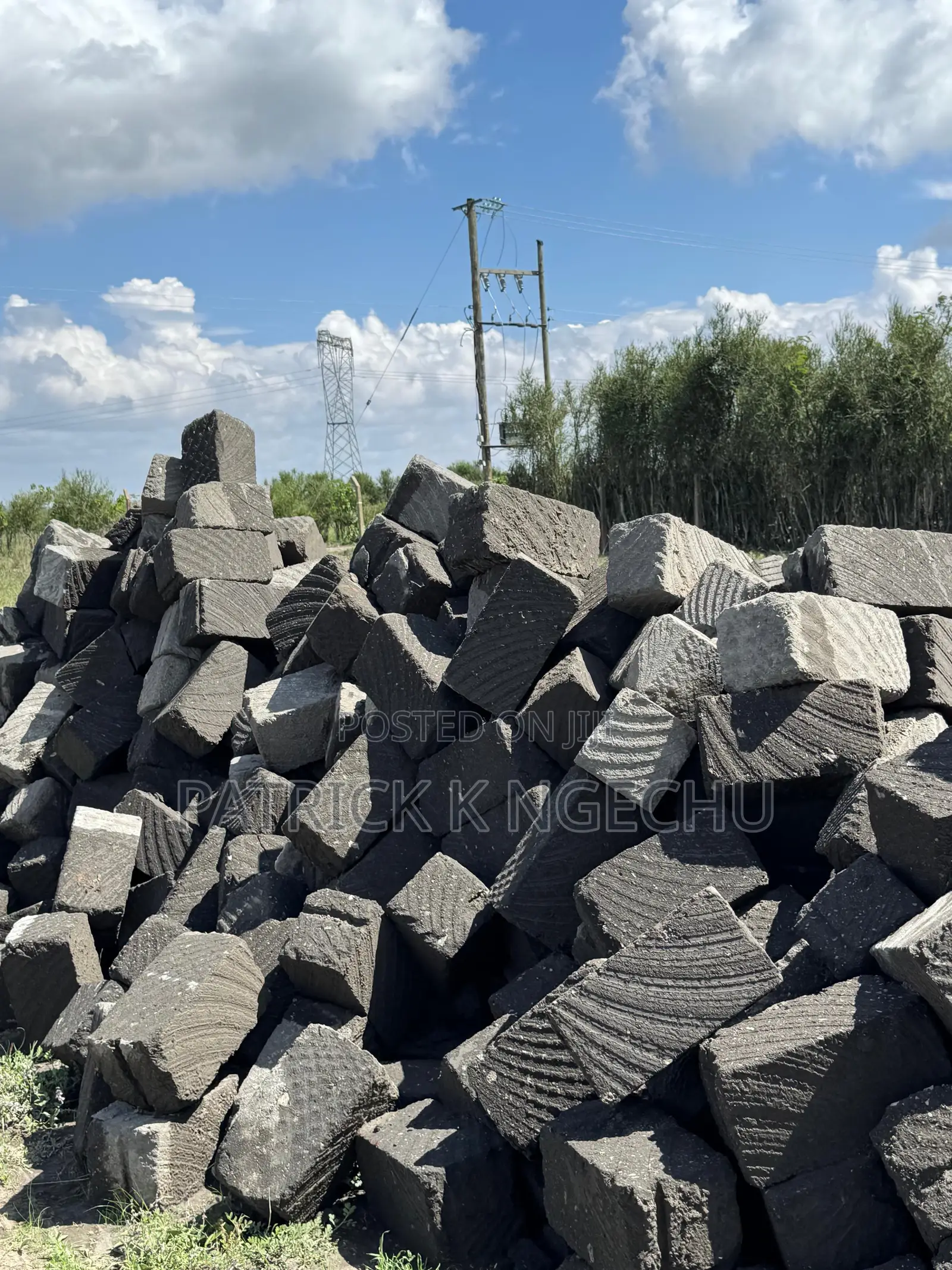 50×100 Plots